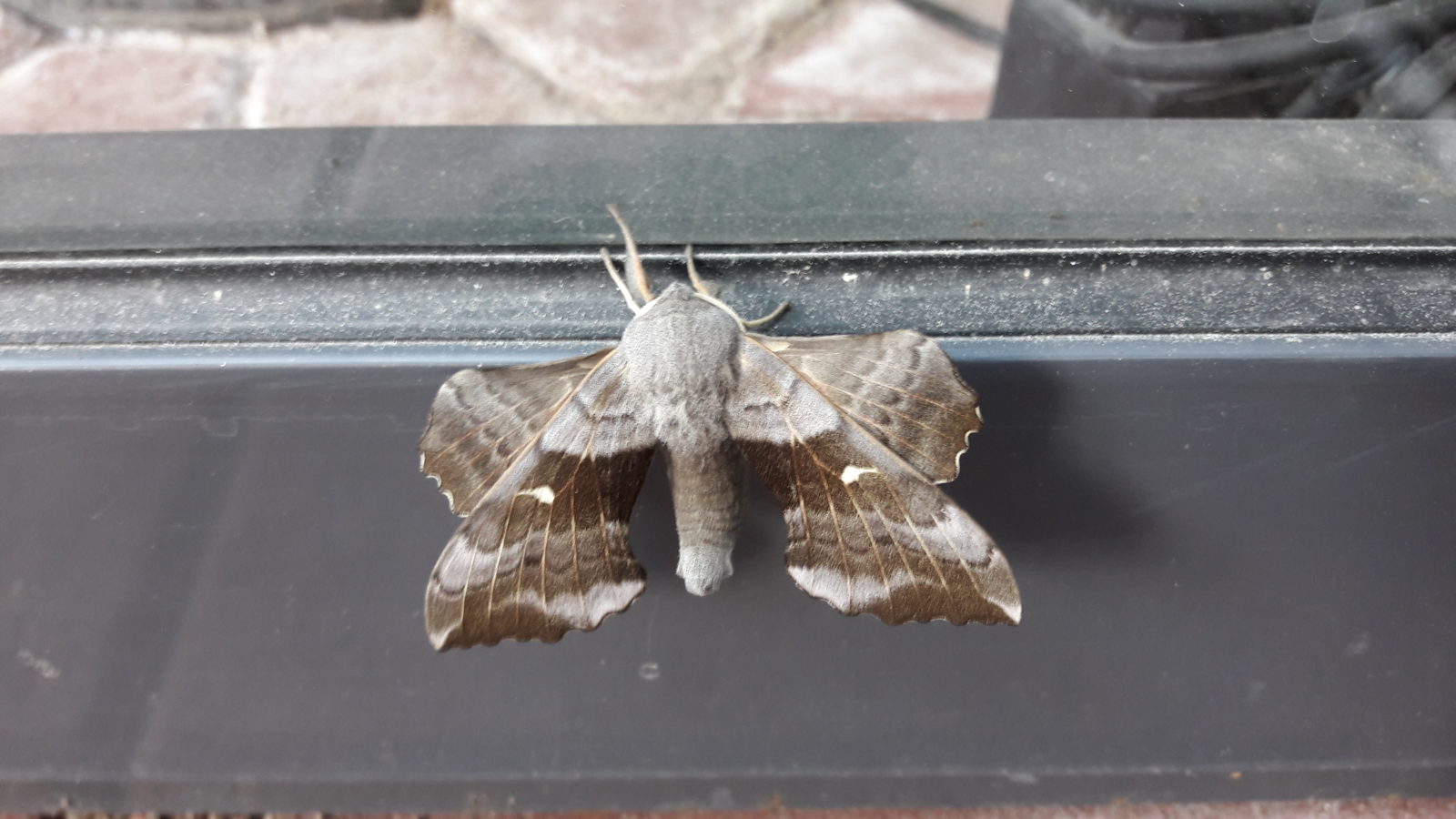 Valokuvaaja: Merja Koivunen