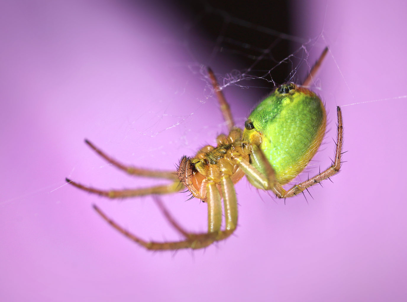 Valokuvaaja: Tarja Porkkala Valokuvaaja: Tarja Porkkala