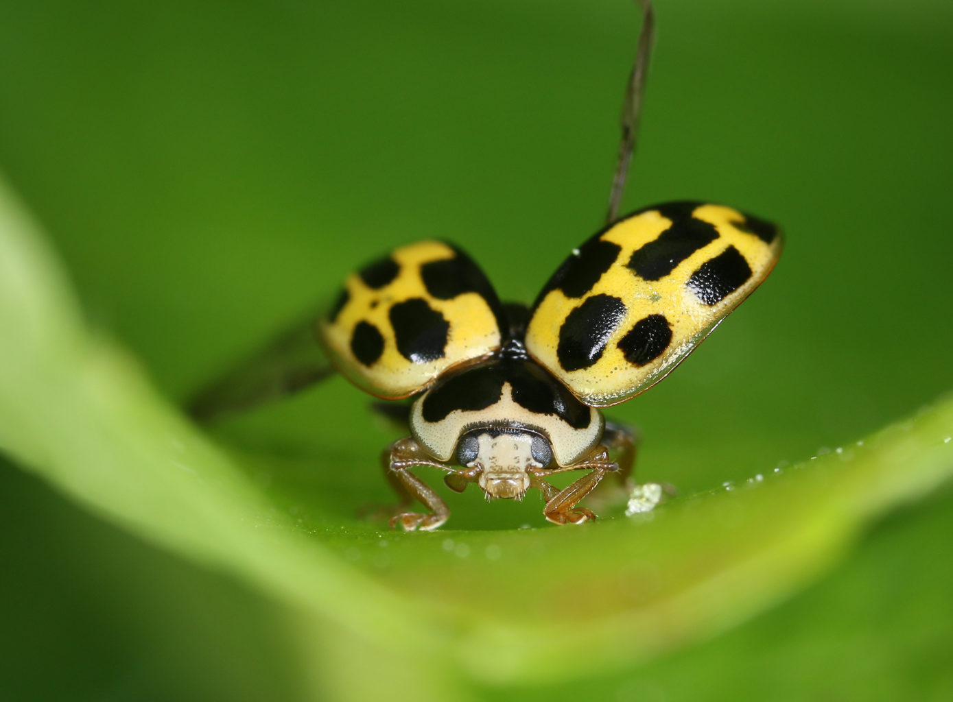 Valokuvaaja: Tarja Porkkala