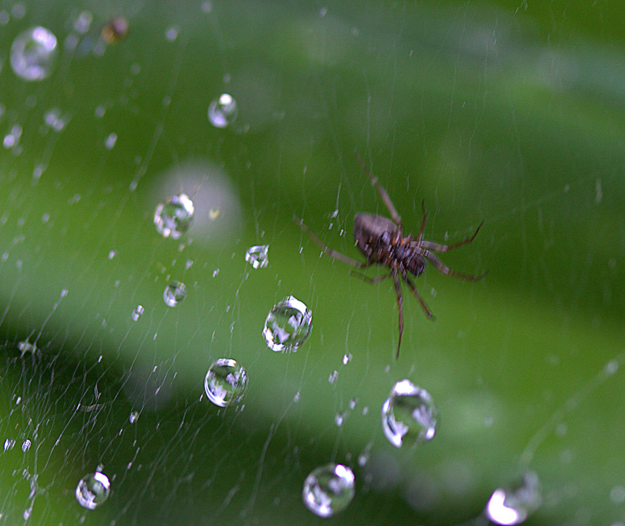 Valokuvaaja: Sirpa Jyske