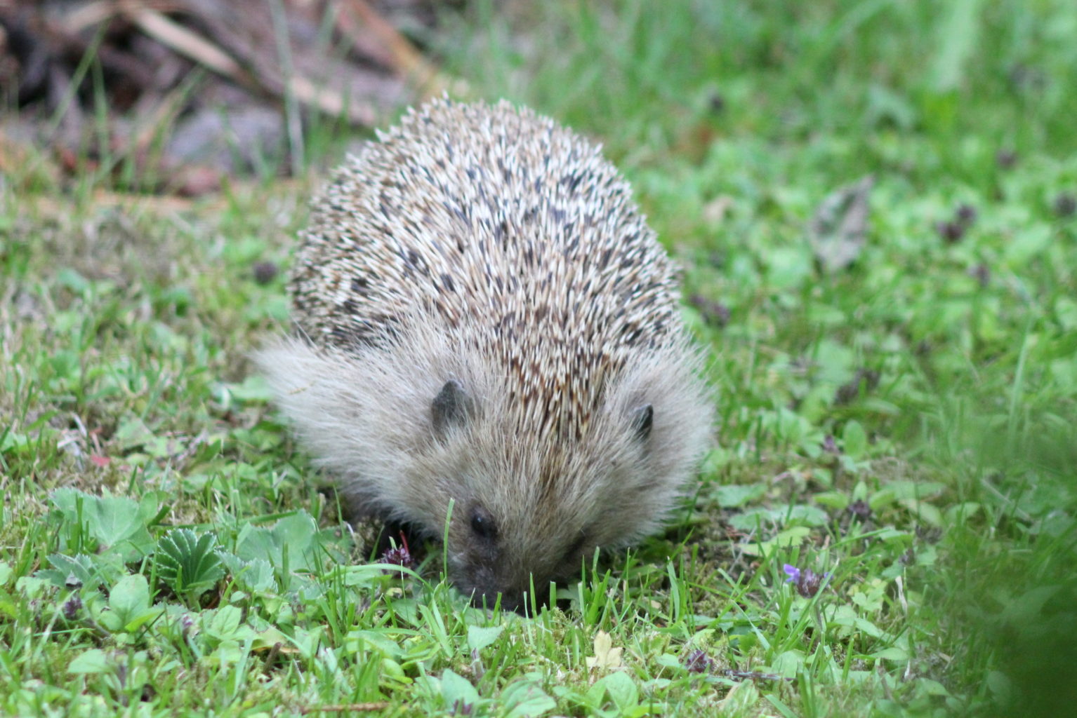Valokuvaaja: Kalle Asikainen Valokuvaaja: Kalle Asikainen