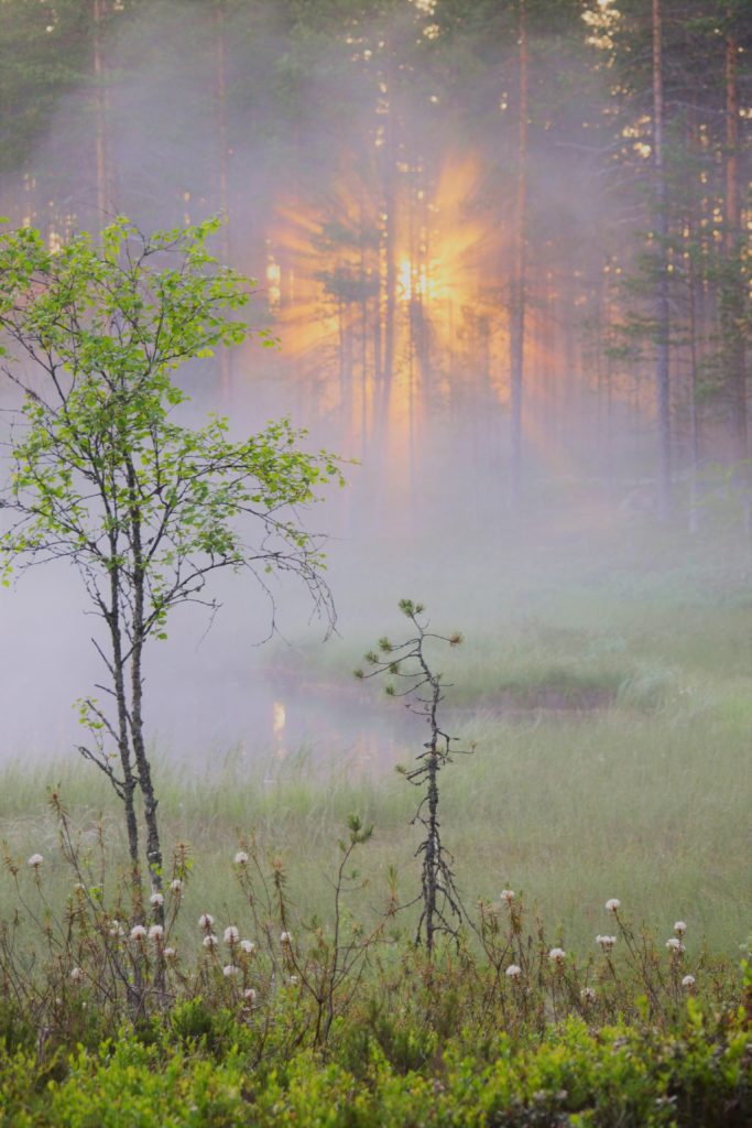 Valokuvaaja: Leena Rissanen