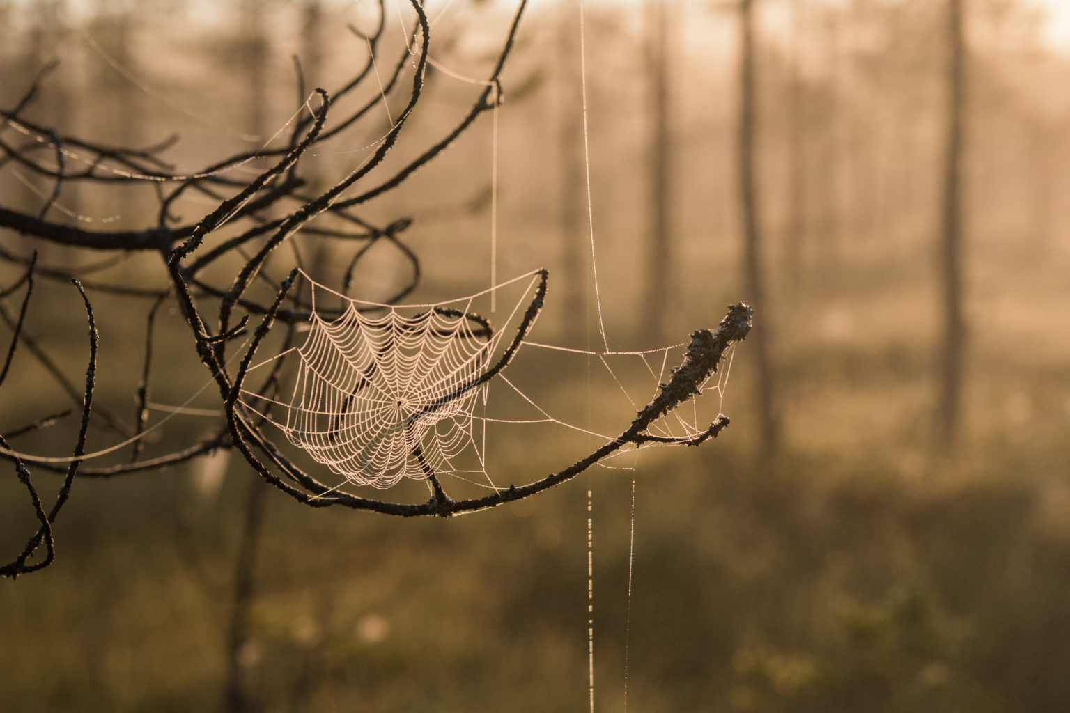 Valokuvaaja: Merja Ollikainen