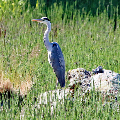 Valokuvaaja: Seppo Kalliomäki