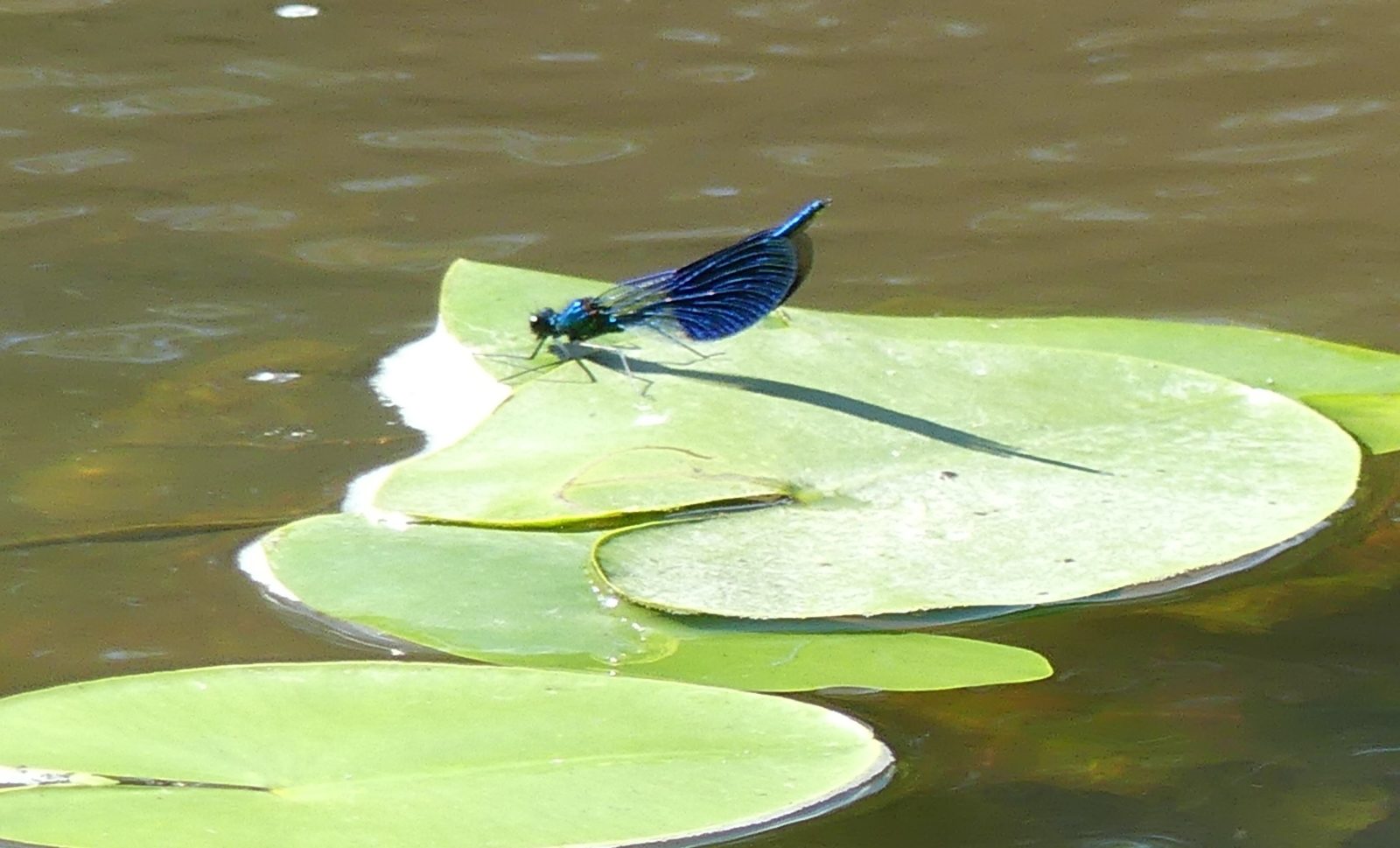 Valokuvaaja: Raili Paavola