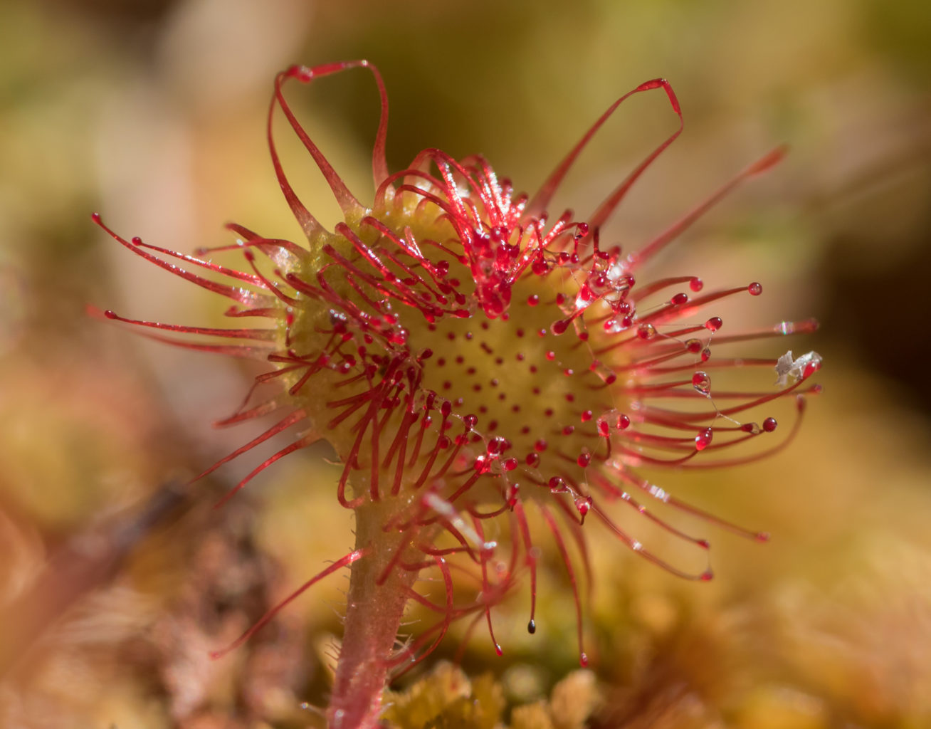Valokuvaaja: Merja Ollikainen