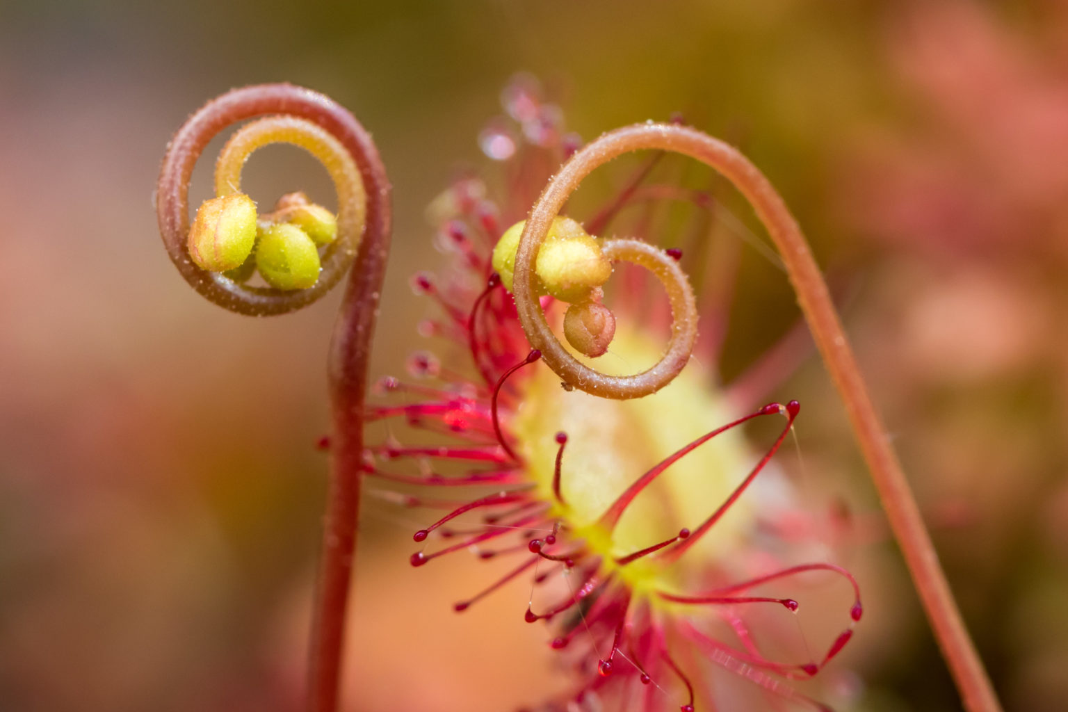 Valokuvaaja: Merja Ollikainen