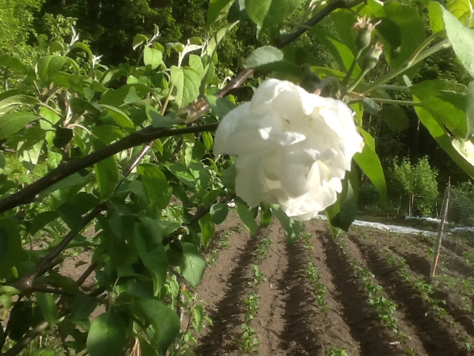 Valokuvaaja: Taina Saloranta