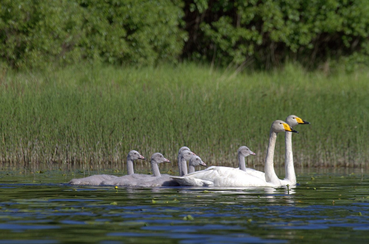 Valokuvaaja: Sirpa Jyske