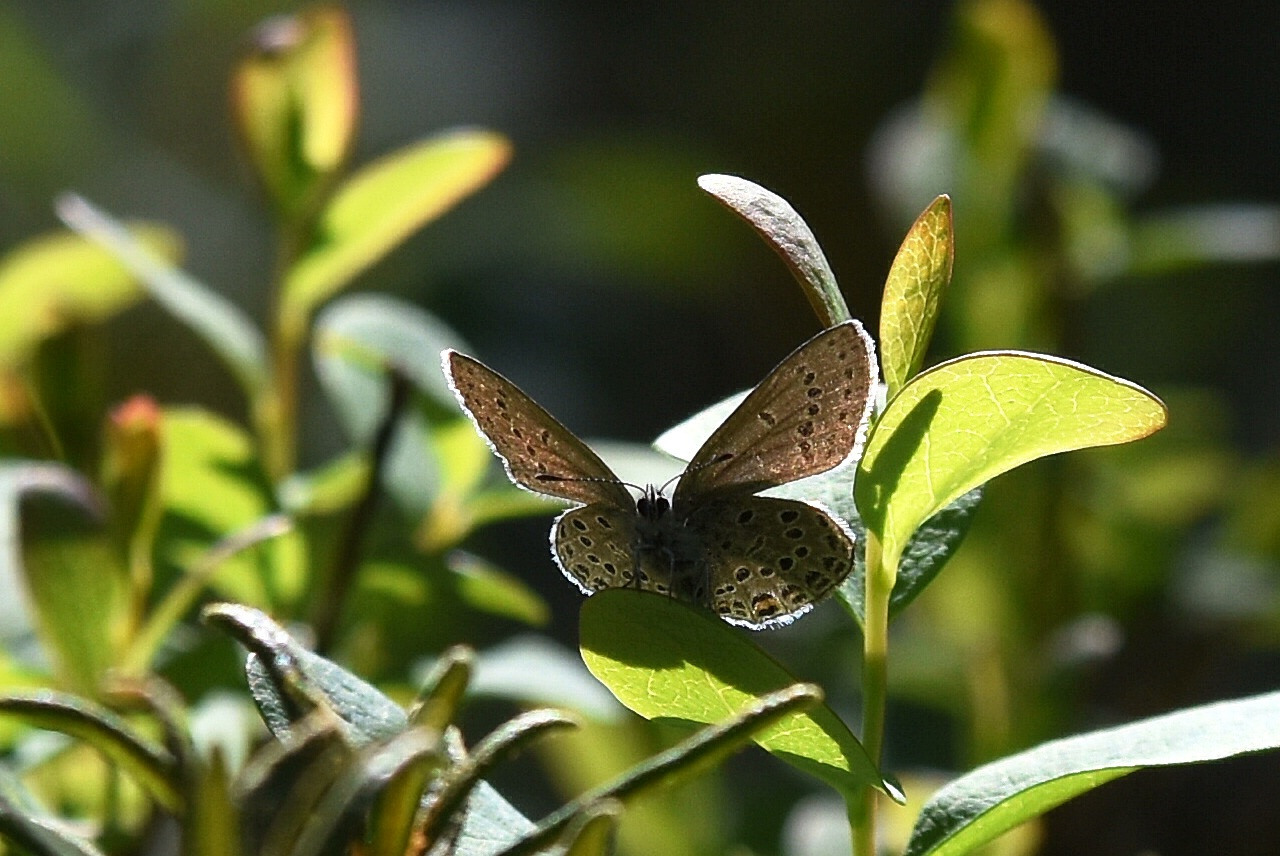 Valokuvaaja: Antti Kaskinen