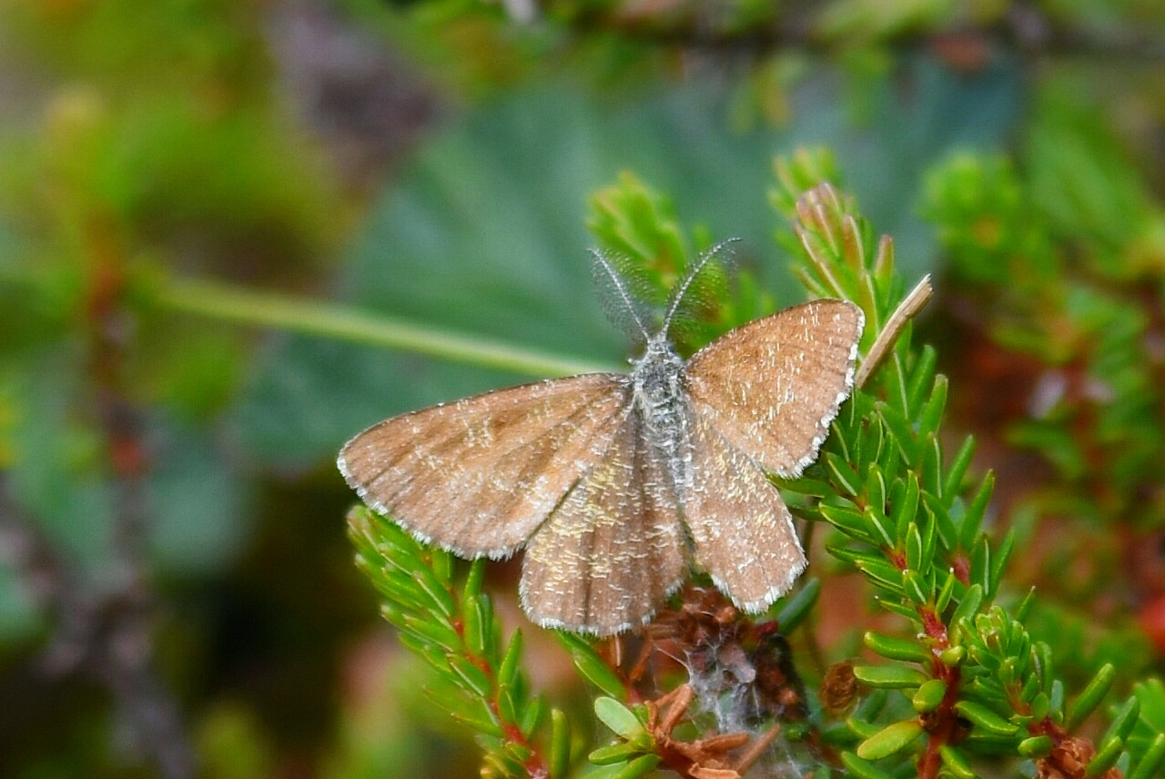 Valokuvaaja: Antti Kaskinen Valokuvaaja: Antti Kaskinen