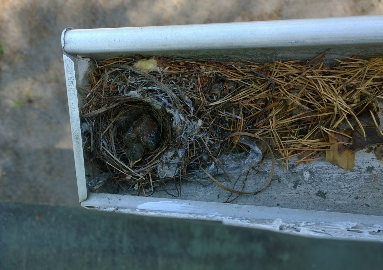 Valokuvaaja: Ahti Keränen