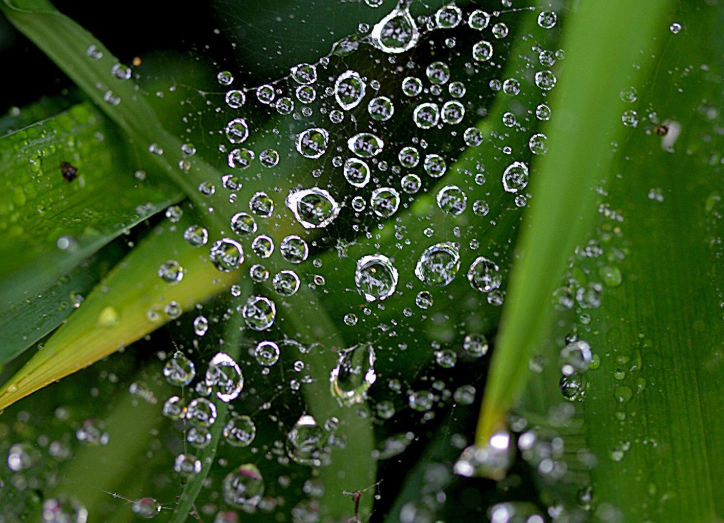 Valokuvaaja: Sirpa Jyske