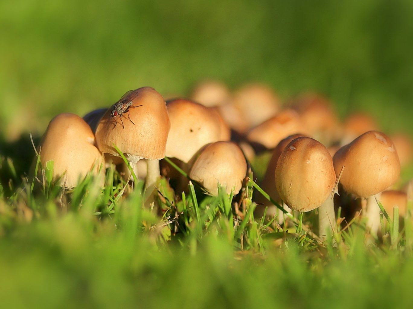 Valokuvaaja: Sirpa Jyske