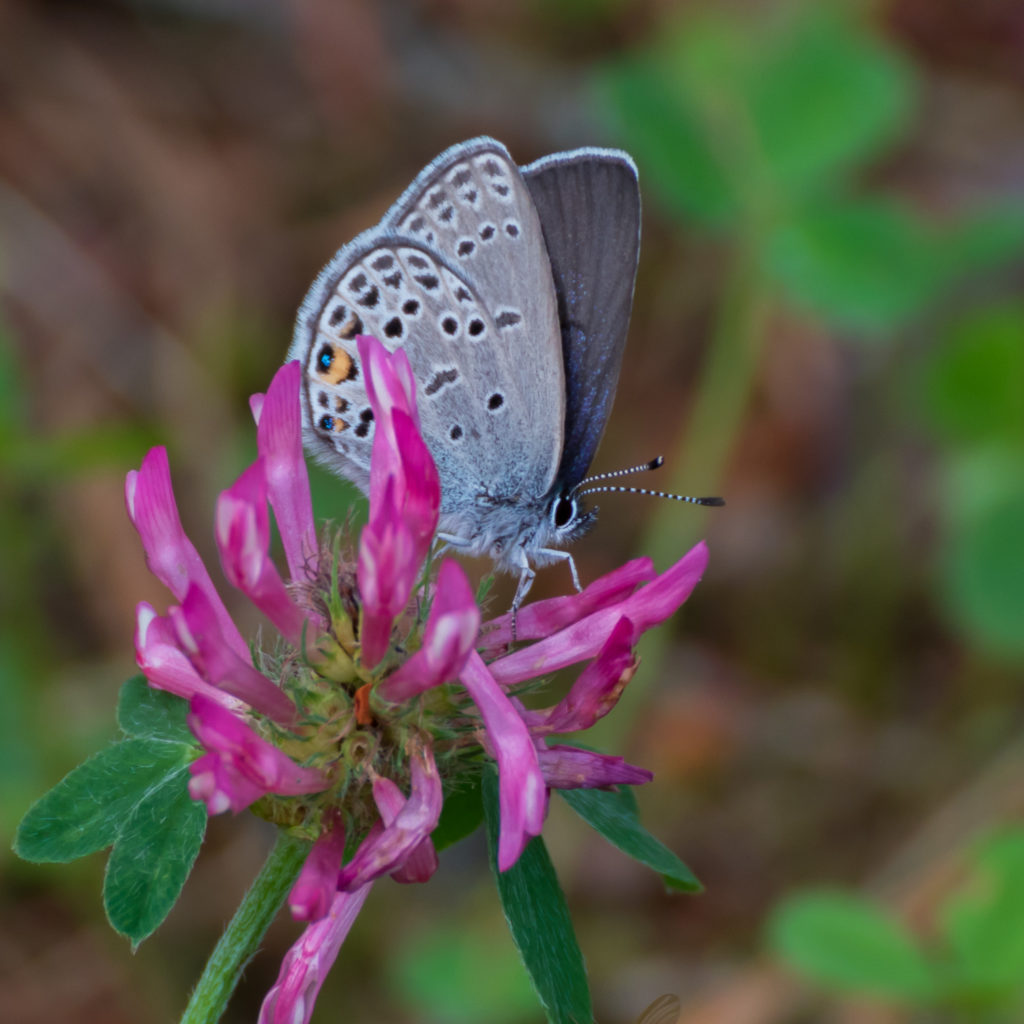 Valokuvaaja: Merja Ollikainen
