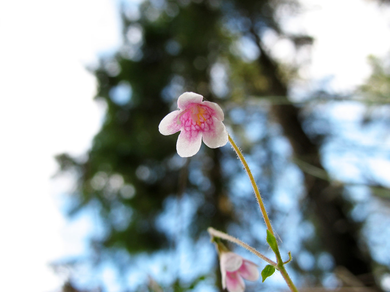 Valokuvaaja: Mirva Inkilä Valokuvaaja: Mirva Inkilä