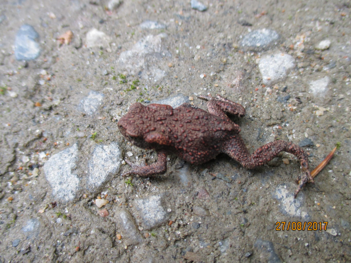 Valokuvaaja: yrjo lukkari