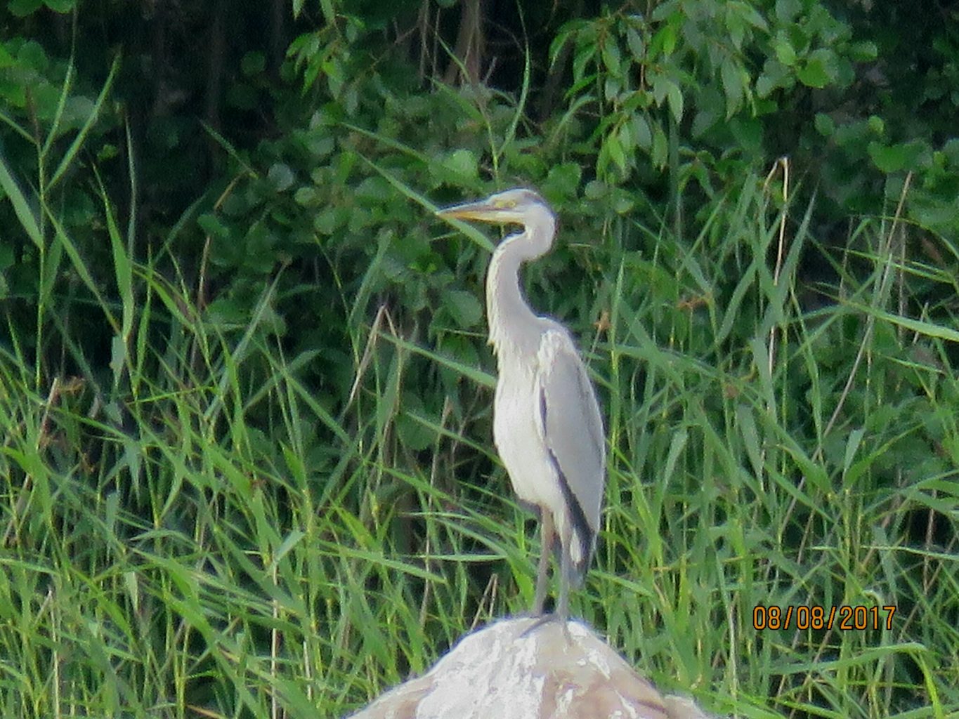 Valokuvaaja: Tuula Makkonen