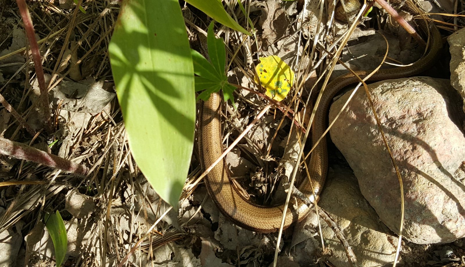 Valokuvaaja: Eija Mustonen