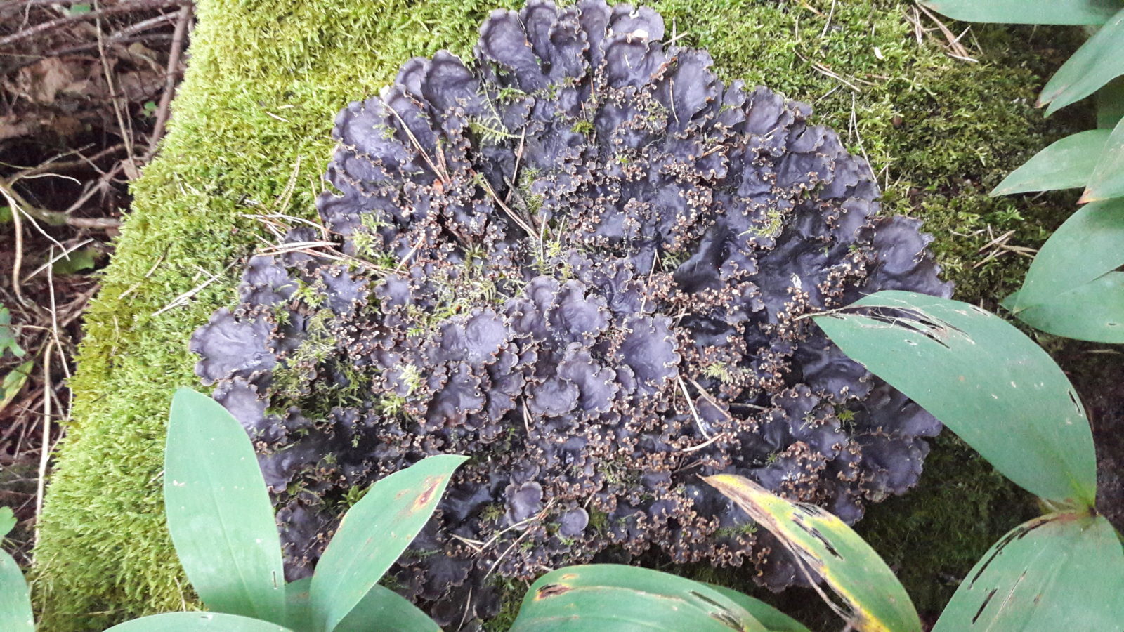 Valokuvaaja: Soili Vesanen