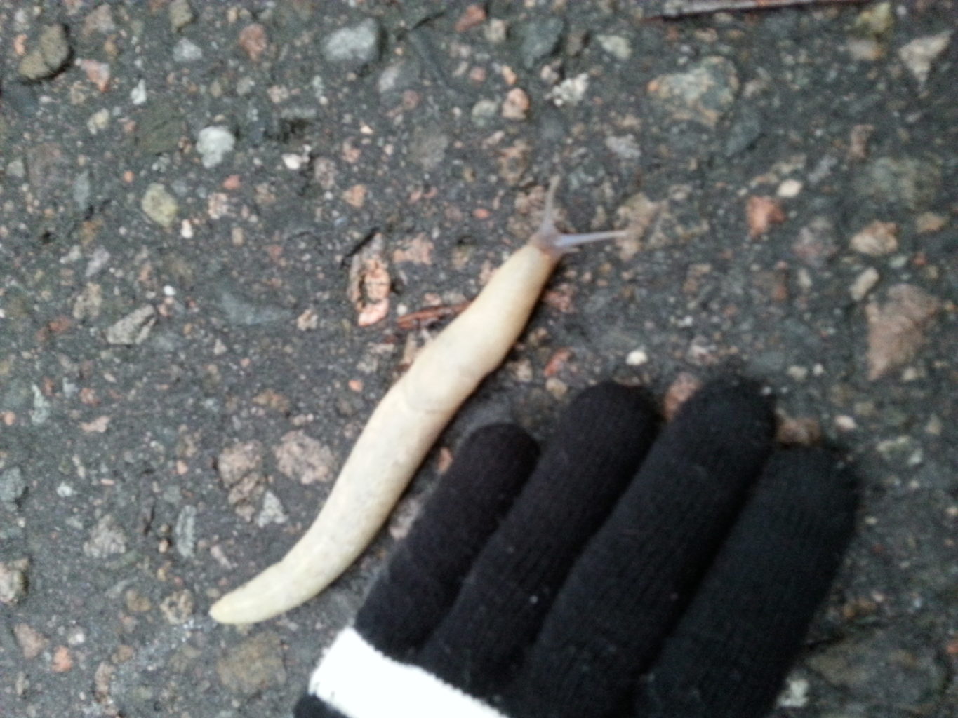 Valokuvaaja: Satu Virtala