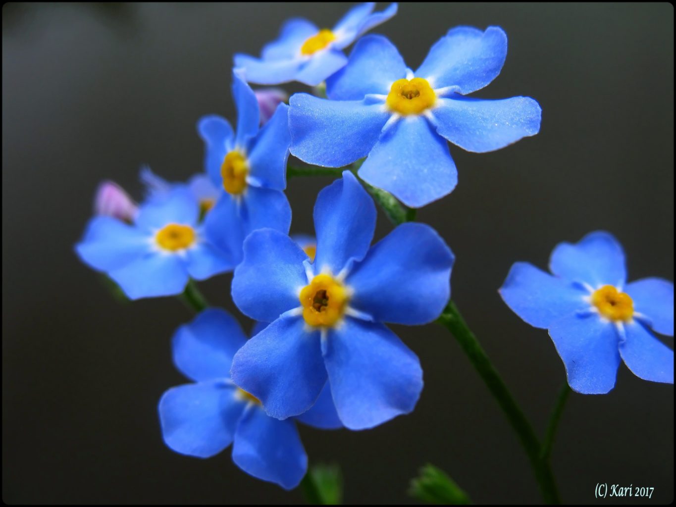 Valokuvaaja: Kari Saarinen