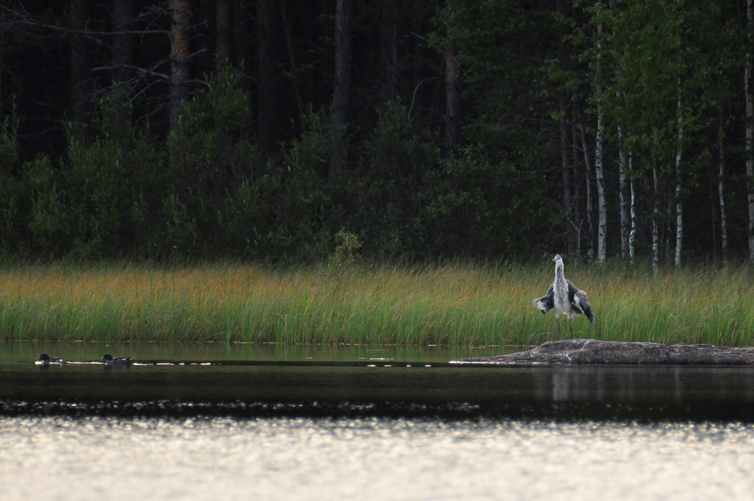 Valokuvaaja: Yvonne Okkola