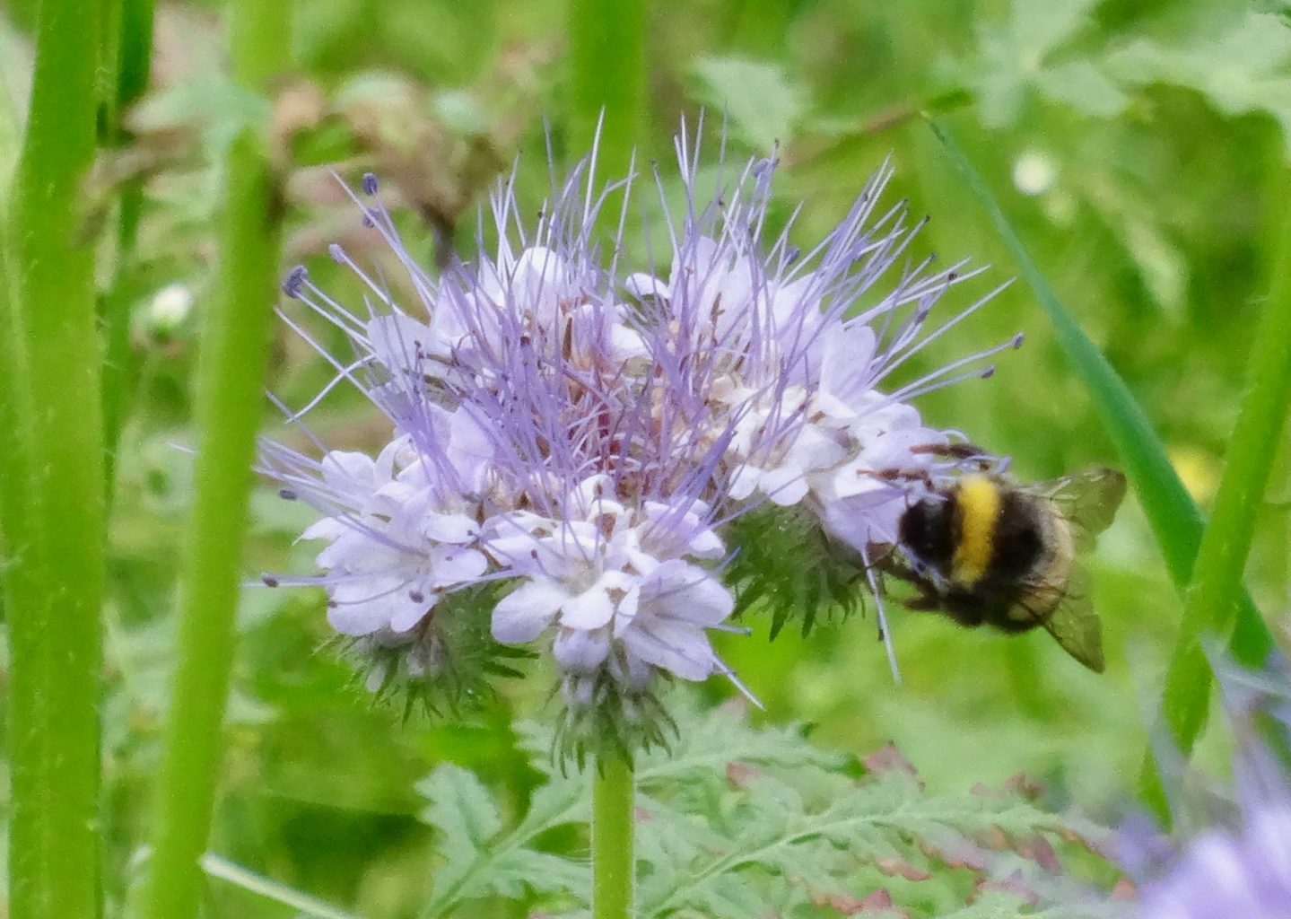 Valokuvaaja: Liisa Niiva-Korpela