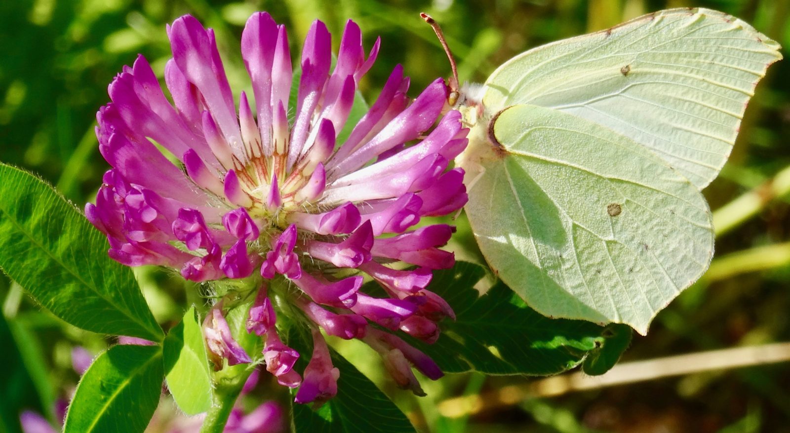 Valokuvaaja: Liisa Niiva-Korpela