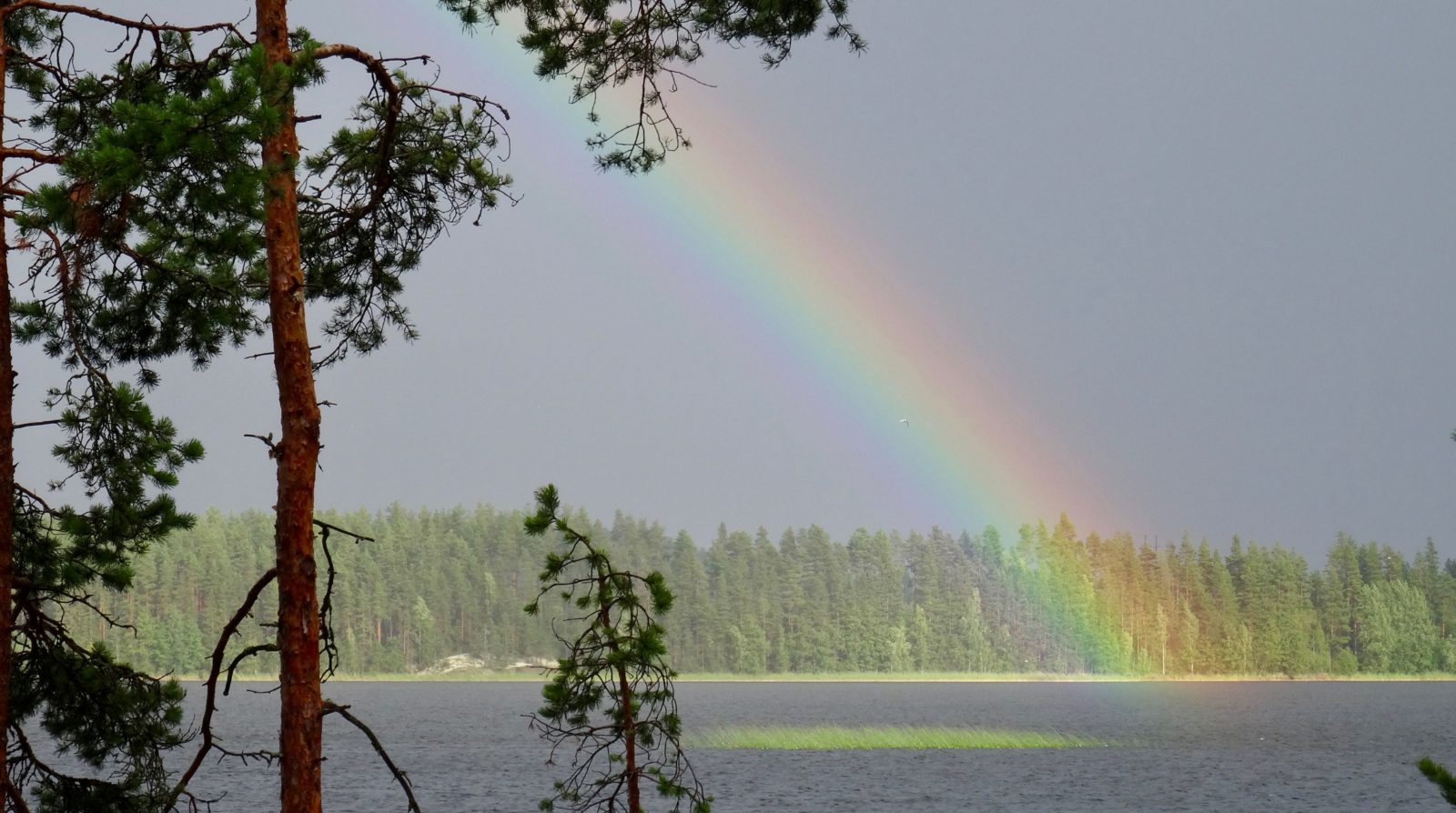 Valokuvaaja: Liisa Niiva-Korpela