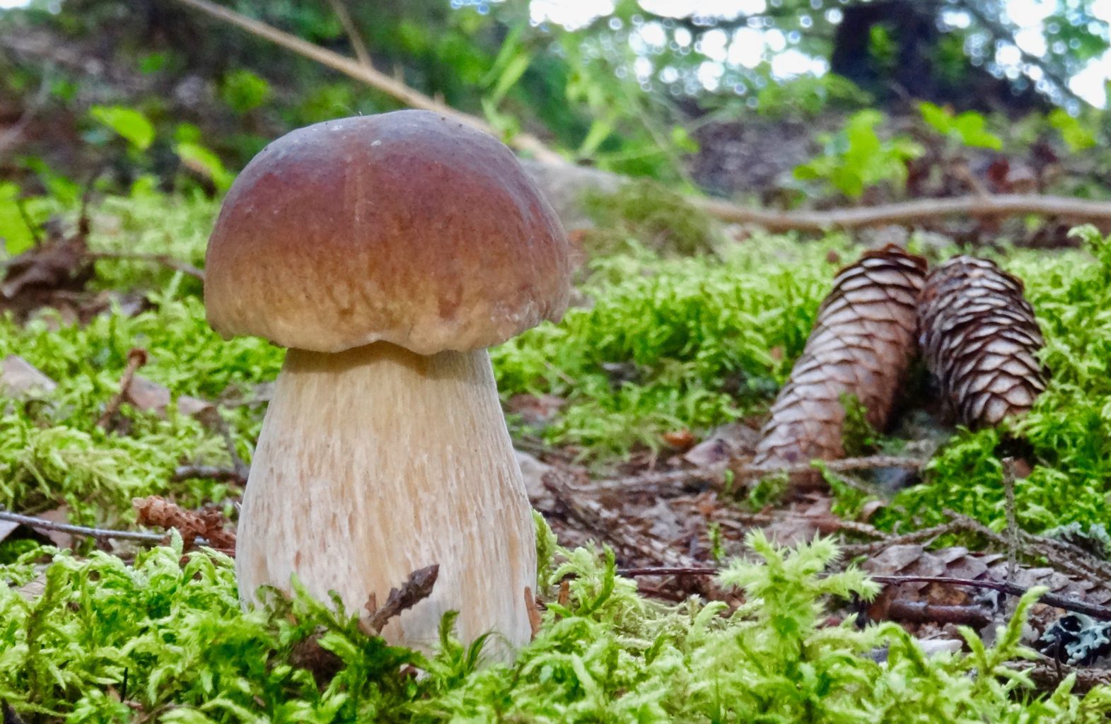 Valokuvaaja: Liisa Niiva-Korpela