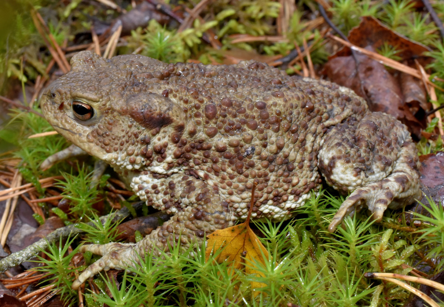 Valokuvaaja: Reijo Juurinen