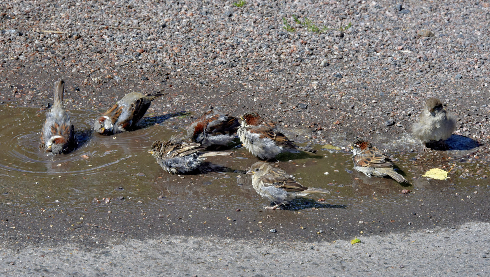 Valokuvaaja: Reijo Juurinen