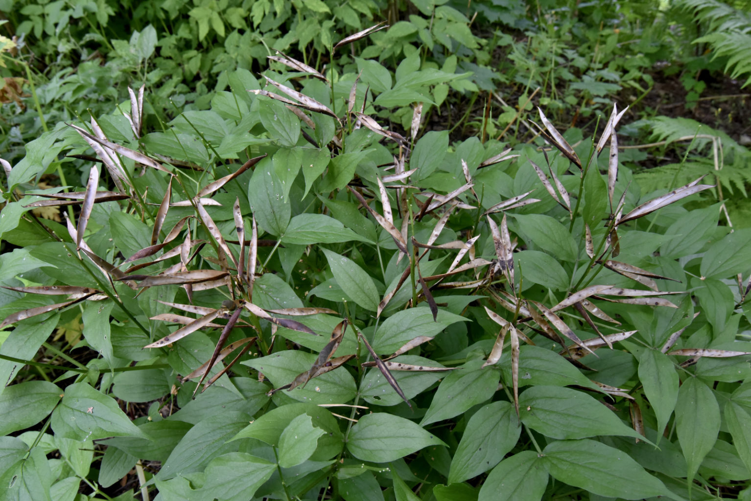 Valokuvaaja: Reijo Juurinen