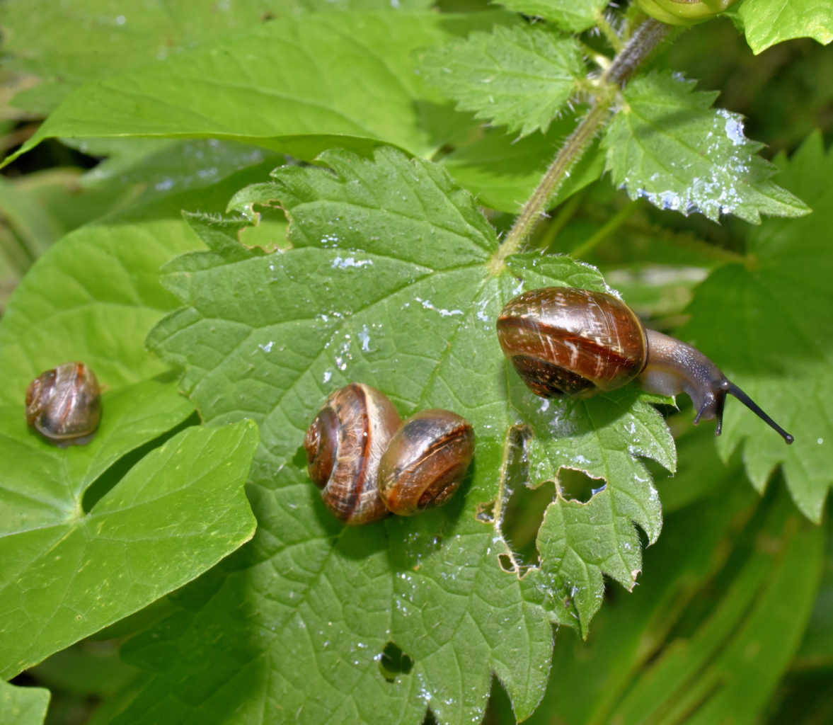 Valokuvaaja: Reijo Juurinen