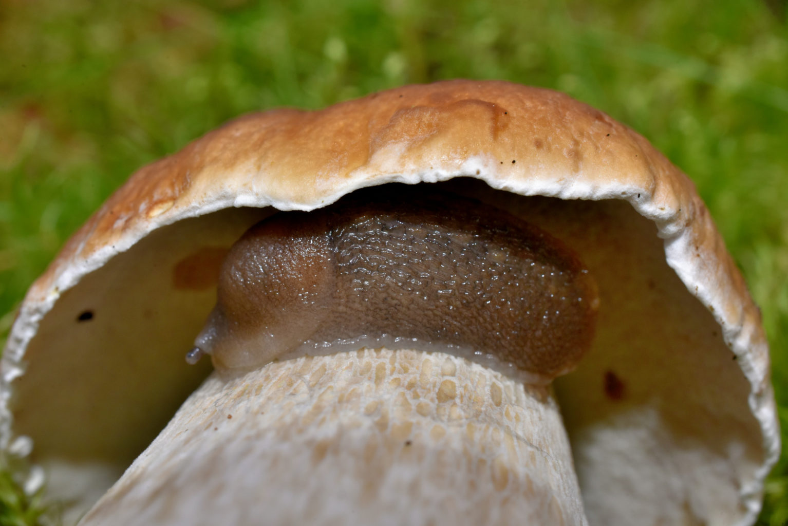 Valokuvaaja: Reijo Juurinen