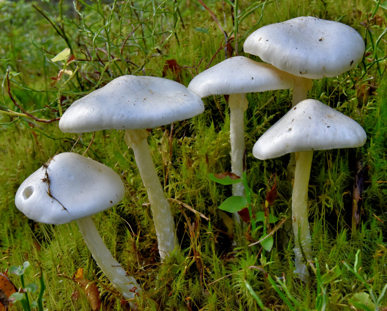 Valokuvaaja: Reijo Juurinen