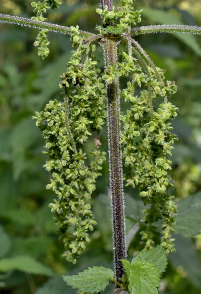 Valokuvaaja: Reijo Juurinen