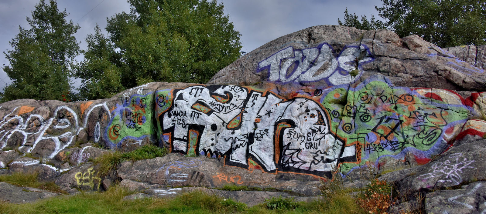 Valokuvaaja: Reijo Juurinen