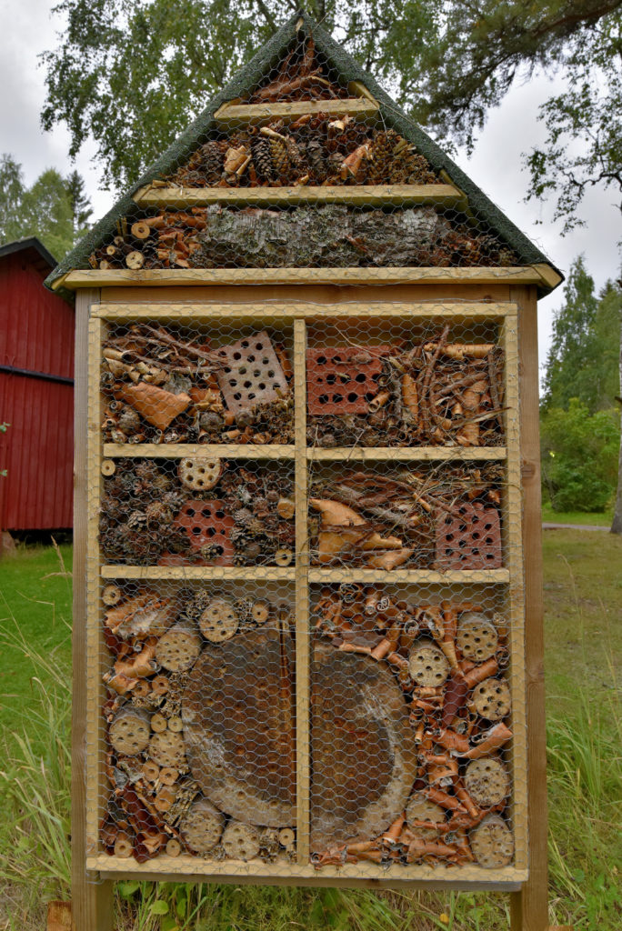 Valokuvaaja: Reijo Juurinen