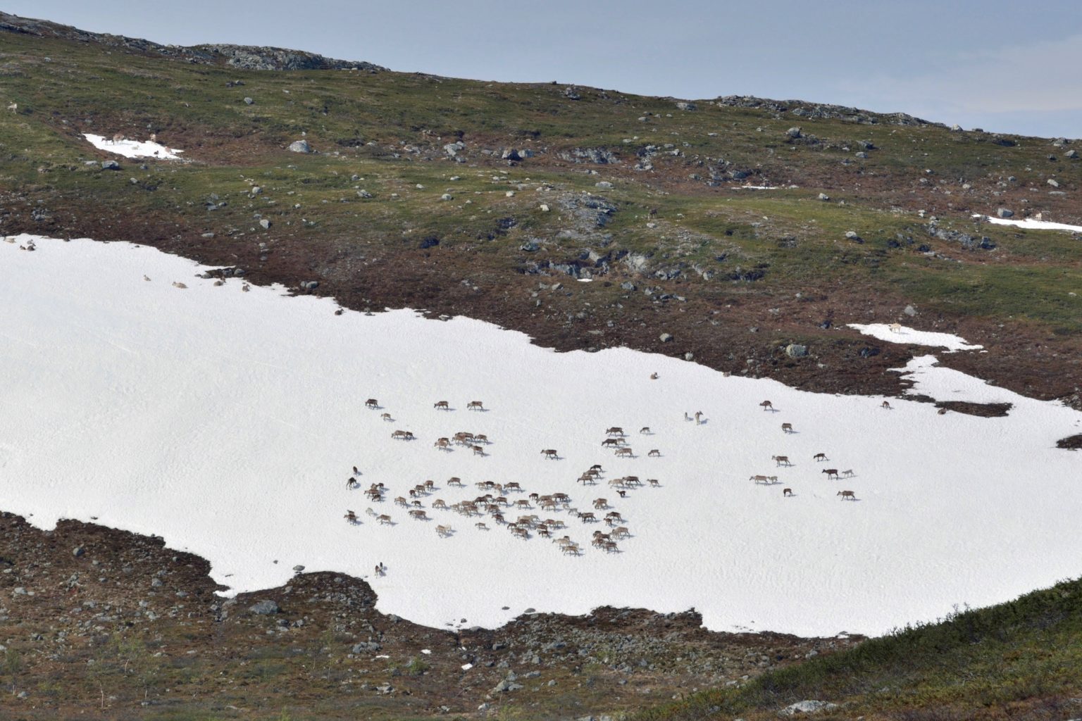 Valokuvaaja: Heike Paesel