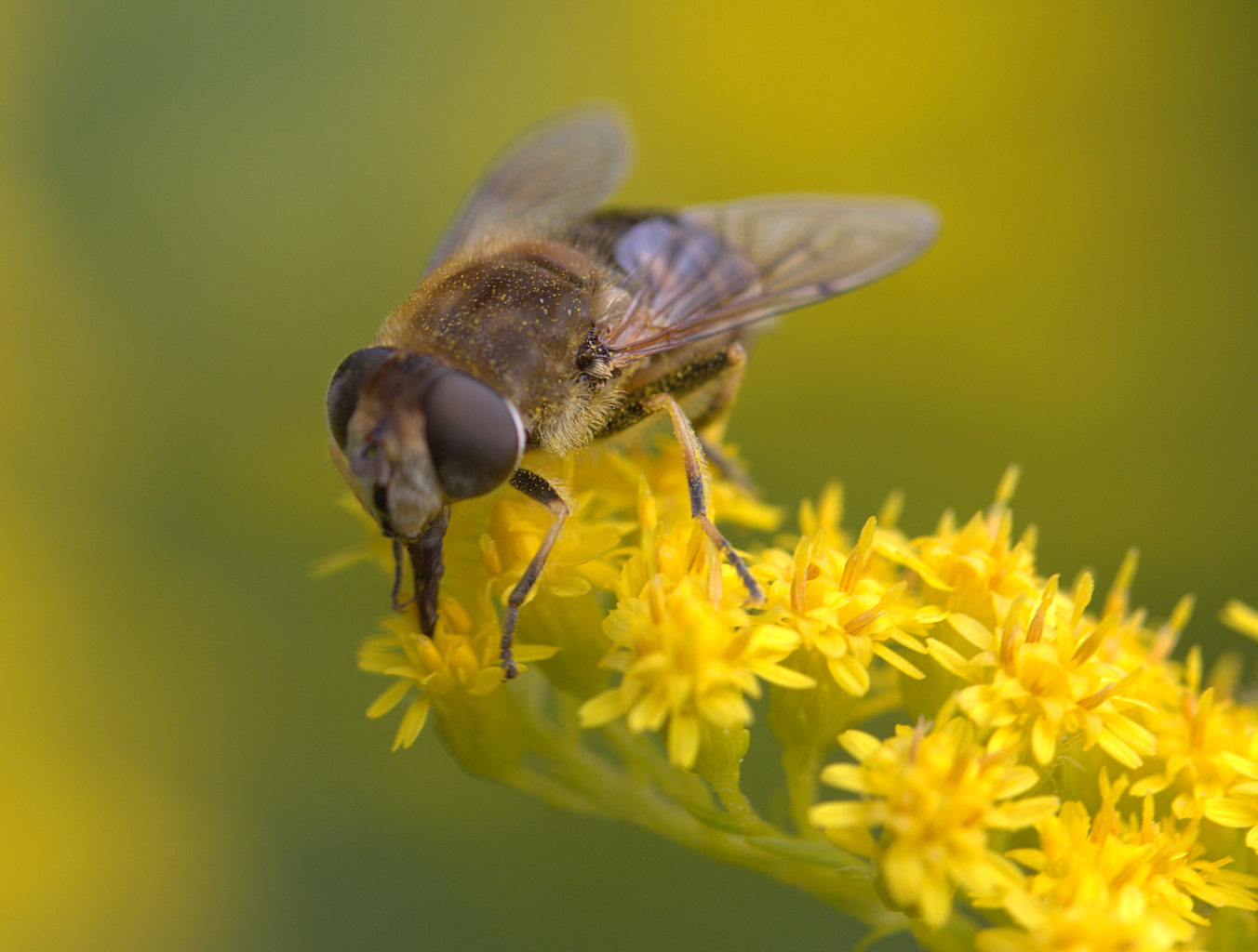 Valokuvaaja: Sirpa Jyske