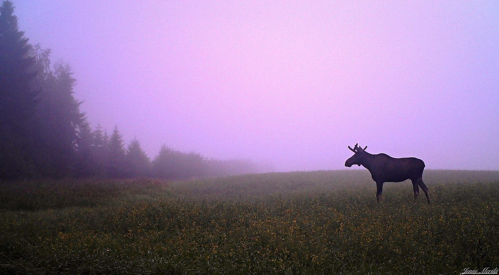 Valokuvaaja: Jenni Merilä