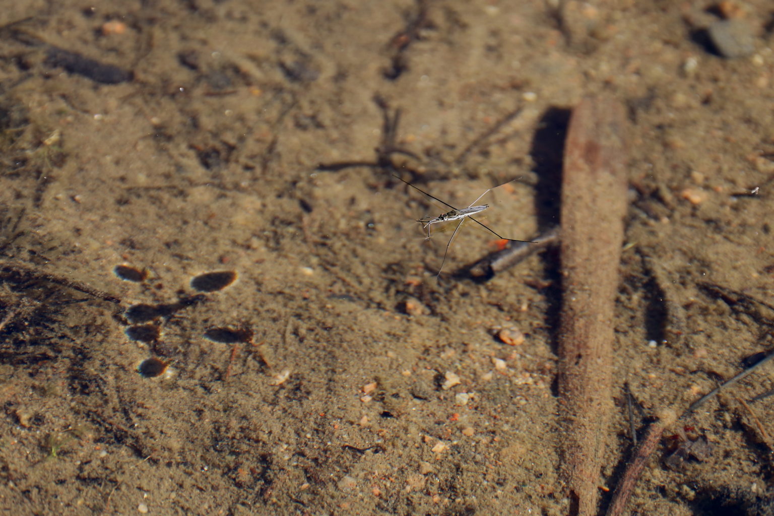 Valokuvaaja: Heikki Murto