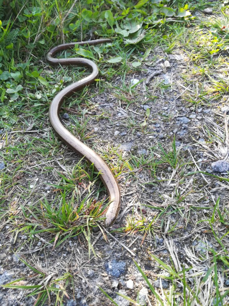 Valokuvaaja: Erkki Kallio