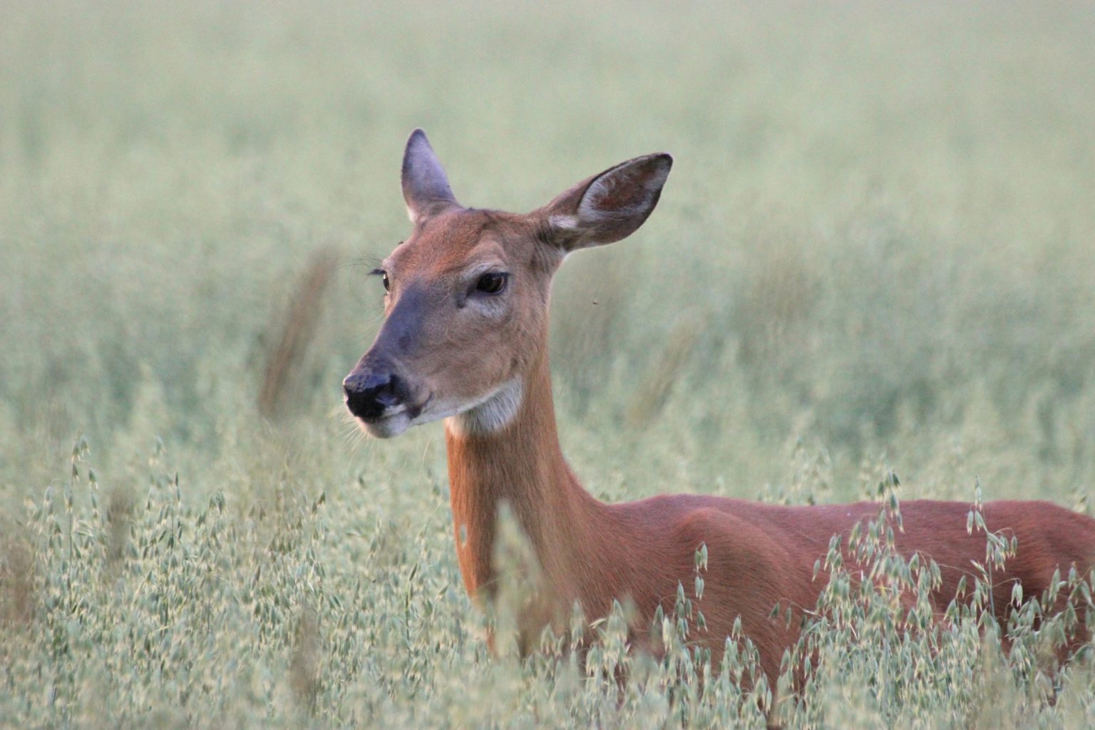 Valokuvaaja: Irja lehtinen