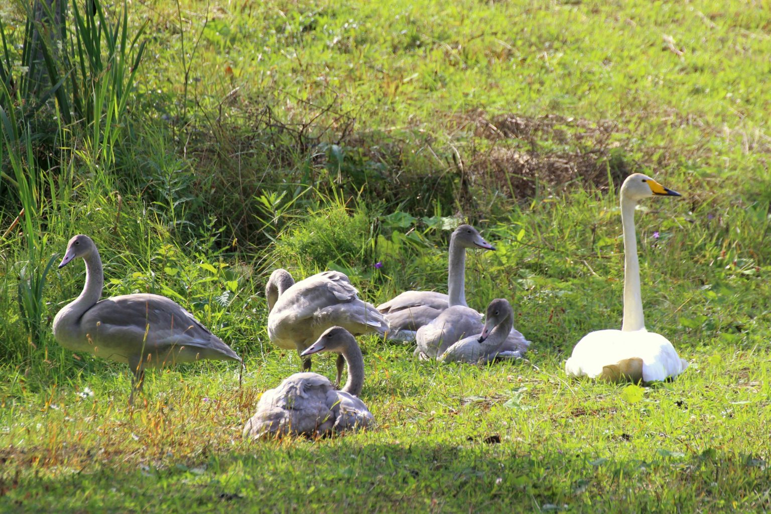 Valokuvaaja: Irja Lehtinen