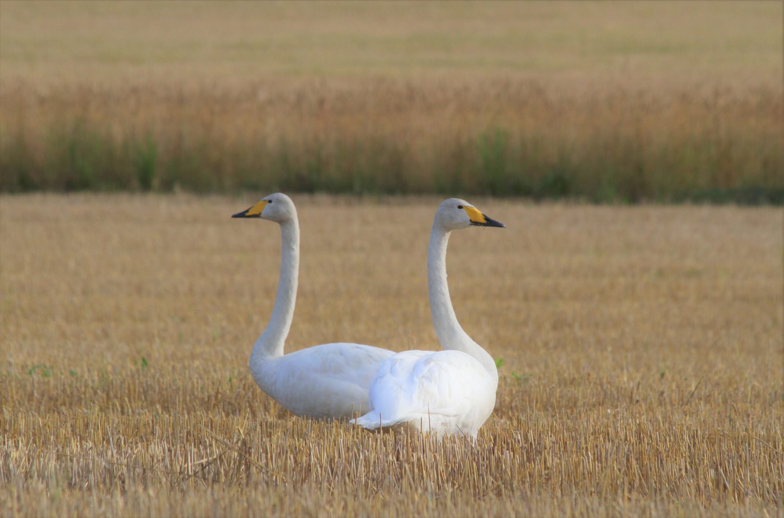 Valokuvaaja: Teija Vänttinen