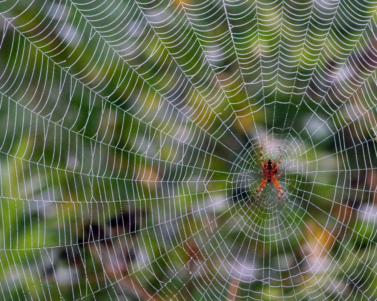 Valokuvaaja: hannu rasiranta