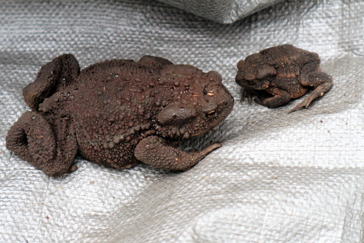 Valokuvaaja: Kirsi Vuorio Valokuvaaja: Kirsi Vuorio